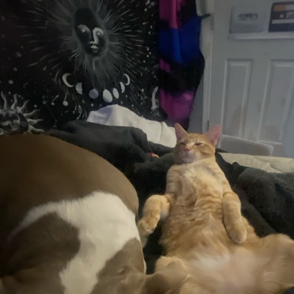 Meet your Posher, Hannah - Picture 1 of 1